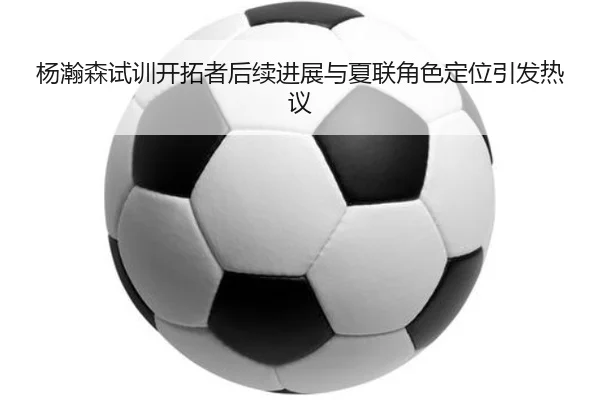杨瀚森试训开拓者后续进展与夏联角色定位引发热议